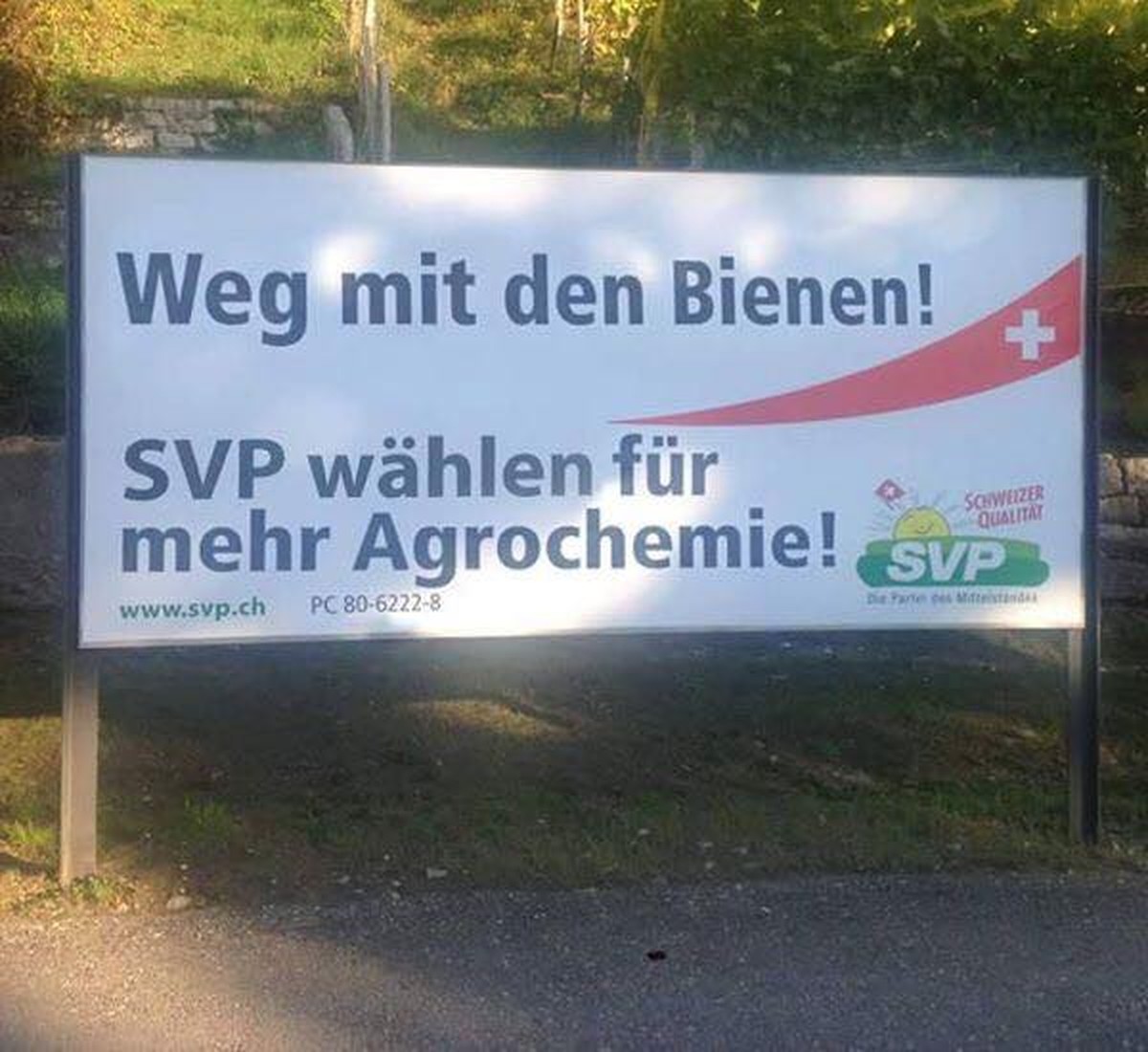 SVP für die Ausrottung der Bienen. Postkonto-Nummer von Greenpeace.
