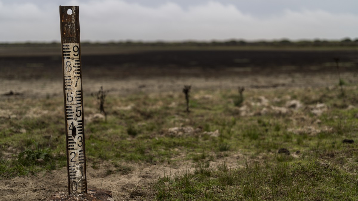 FILE - A water meter stands in a dry wetland in Donana natural park, southwest Spain, on Oct. 19, 2022. The Spanish government announced a raft of measures to tackle a prolonged drought on Thursday Ma ...