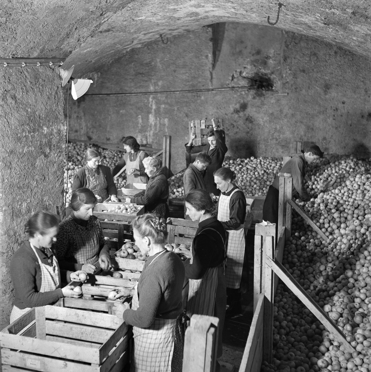 Mit dem Titel: "Jedem Bauernkind seine Apfelschnitze" organisiert die Schweizer Winterhilfe im Oktober im Kriegsjahr 1944 eine Sammelaktion in baeuerlichen Gegenden und fuehrt ganze Eisenbah ...