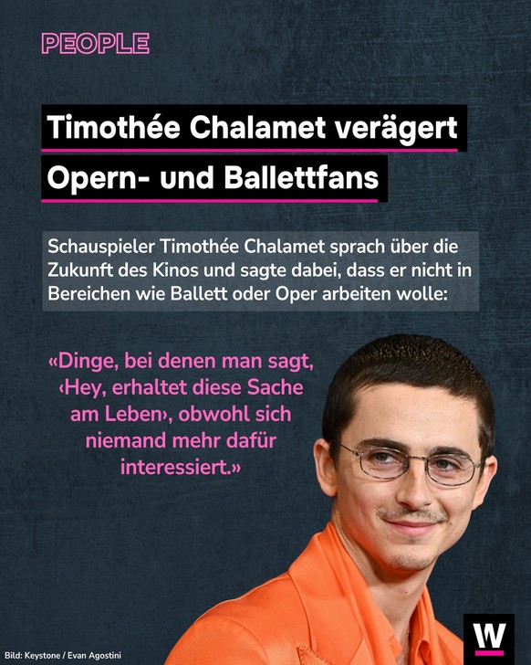 <p>Timothée Chalamet hat sich durch Aussagen über die Opfer und das Ballett unbeliebt gemacht.</p>