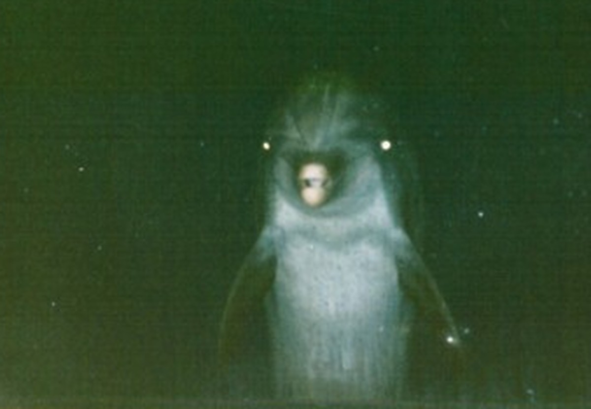 Grusliger Delfin
Picdump
https://imgur.com/gallery/eehYTGy