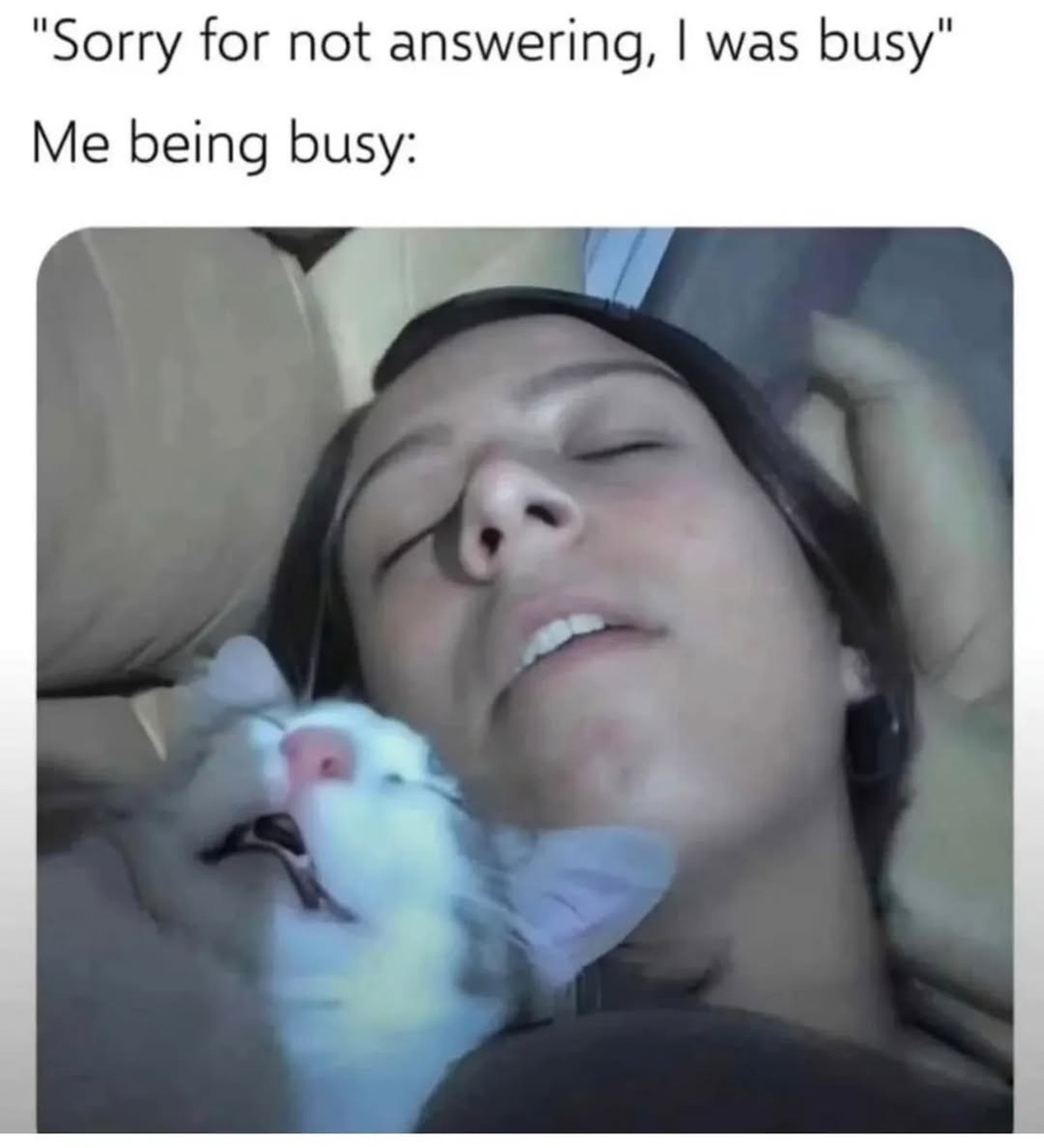 Lustige Tier-Memes für Cute News: Katze