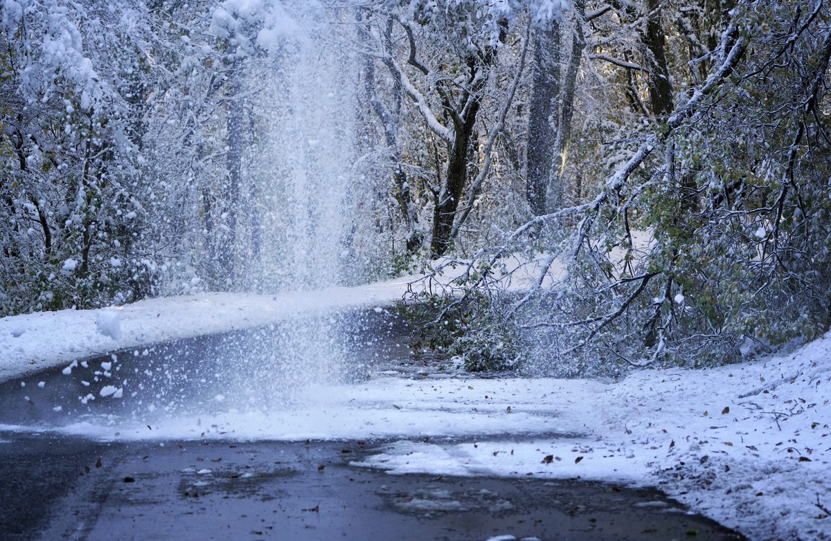 Snow falls from trees on the road in Poleymieux au Mont d'Or, near Lyon, central France, Friday, Nov. 15, 2019. A dump of heavy snow in southern France has brought down power lines and trees, kil ...
