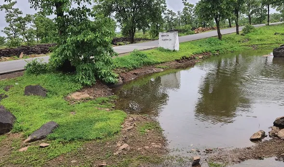 indian pond new species