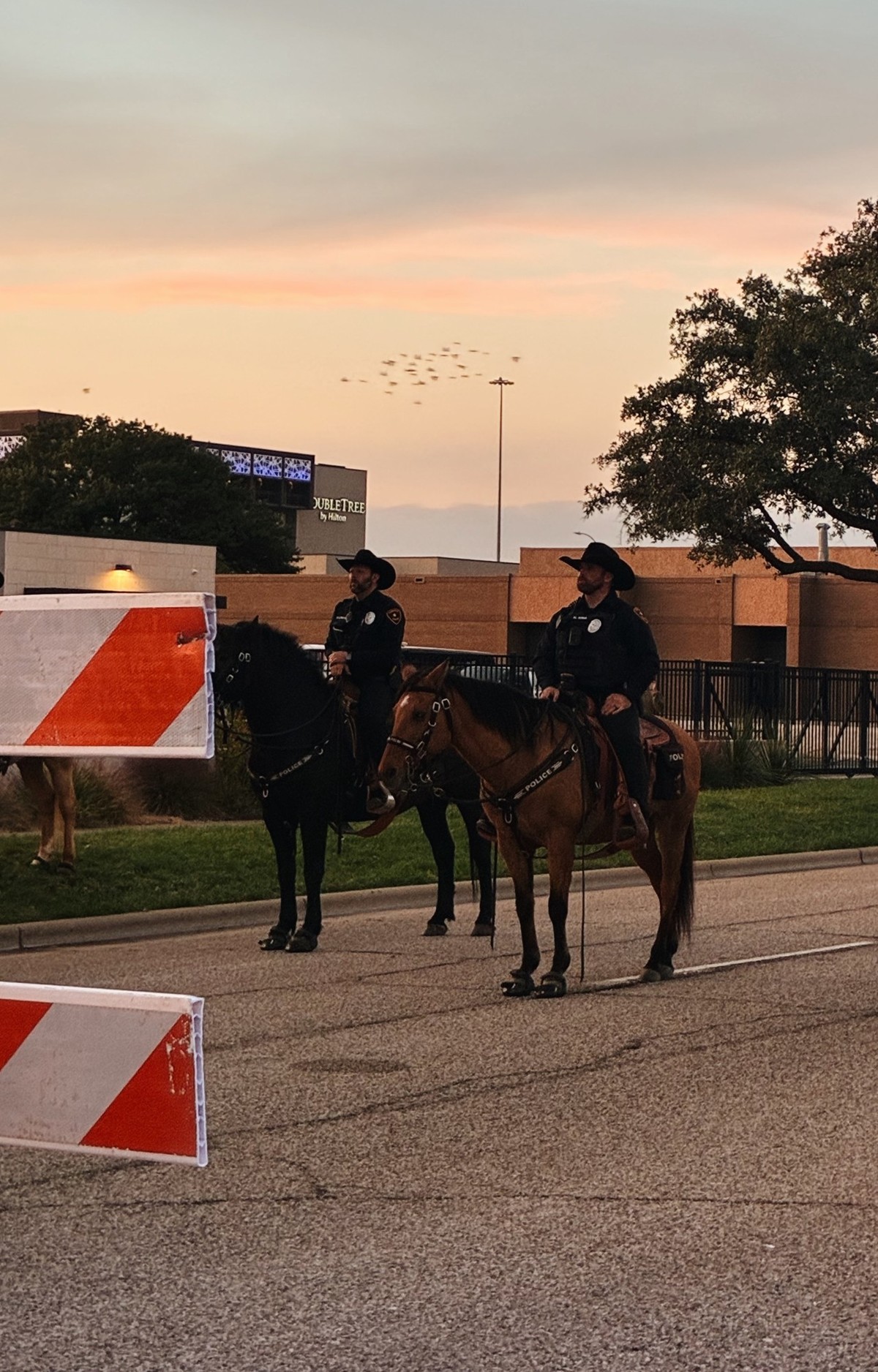Des heures d’attente et un enthousiasme intact: à Lubbock, watson a rencontré les partisans de Donald Trump à une semaine des midterms 2026.
