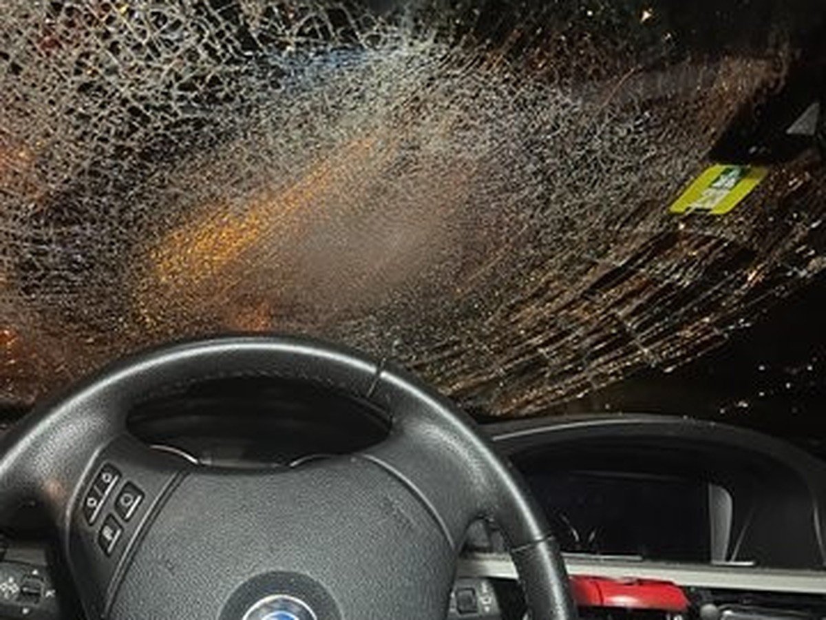 Ein Hirsch hat sich am 4. Mai 2023 auf die Autobahn A8 in Alpnach OW verirrt. Bei der Kollision mit einem Auto kam er ums Leben.