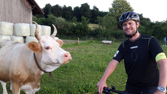 Ständige Begleiter auf meiner Tour: Die Kuh.