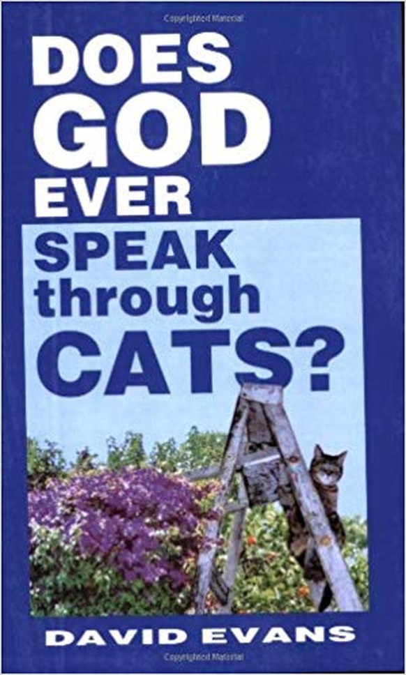 «Spricht Gott jemals durch Katzen? »