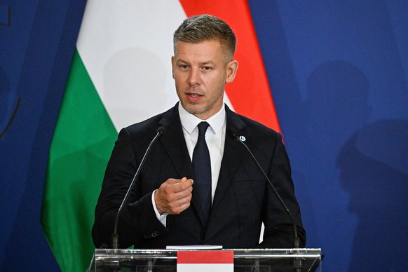Hungary's Premier Peter Magyar attends a joint press conference with his Czech, Slovakian and Polish counterpart to conclude the one-day the summit of the Visegrad Group (V4) countries in the Roy ...