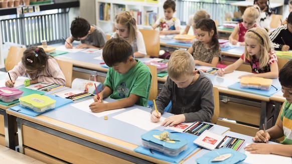 IM HINBLICK AUF DEN SCHULJAHRESBEGINN STELLEN WIR IHNEN FOLGENDES NEUES BILDMATERIAL VON DER PRIMARSCHULE DER SCHULE SUHR ZUR VERFUEGUNG ---Primary school class 1c pictured during a double science and ...