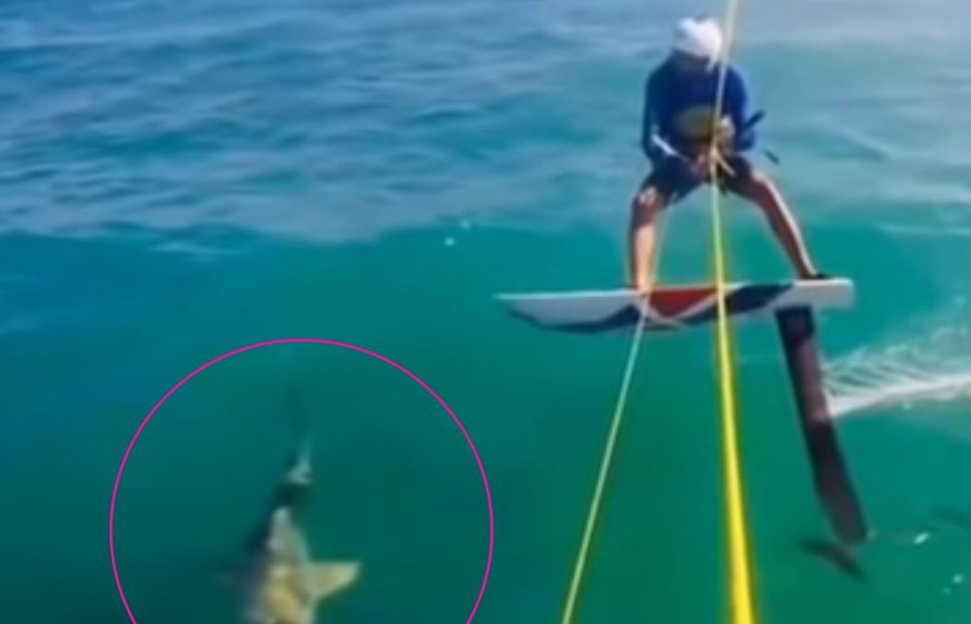 Alex Soto hatte grosses Glück: Er blieb nach einer Kollision mit einem Hai unverletzt – der Hai soll es auch sein.&nbsp;
