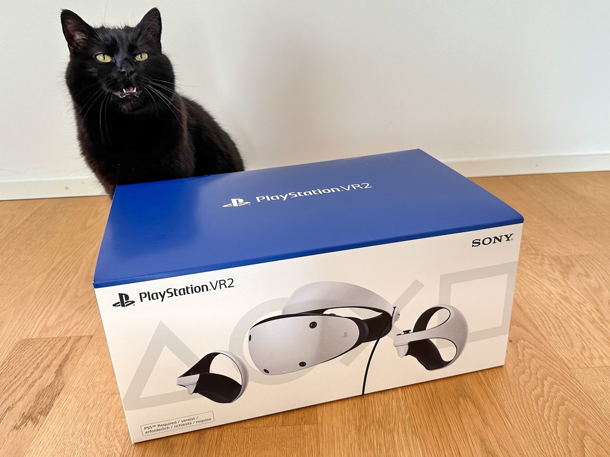 Mia - die GAMES.CH-Redaktionskatze - beim PSVR2-Unboxing.