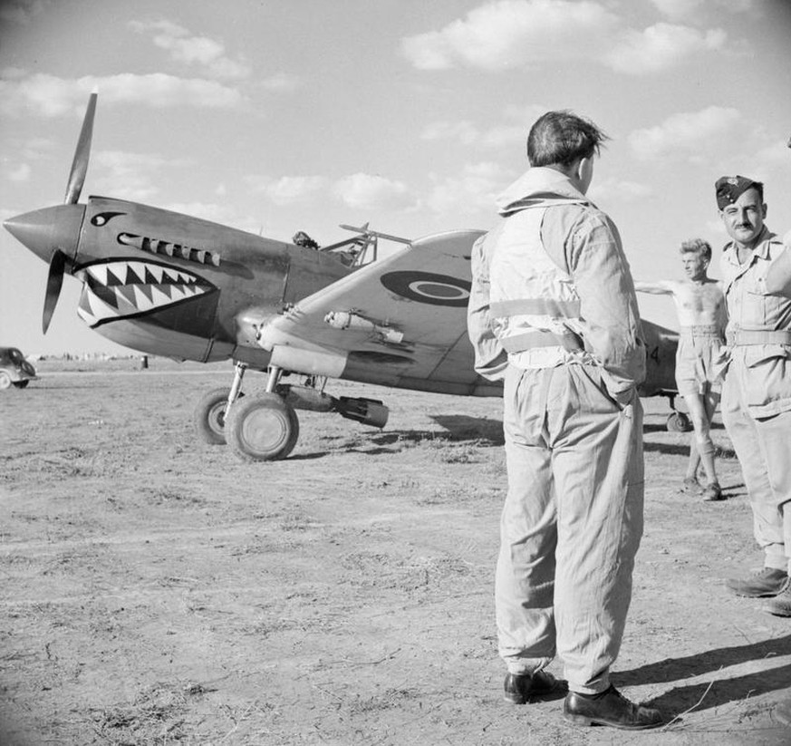 Royal Air Force- Italy, the Balkans and South East Europe, 1942-1945.
Squadron-Leader P F Illingworth (back to camera), the Commanding Officer of No. 112 Squadron RAF, discusses a target with Army off ...