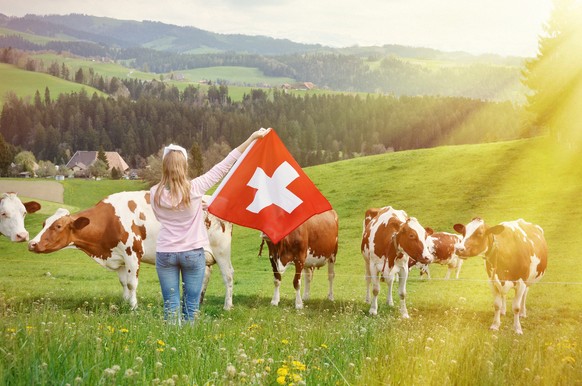 Schweizer Bauern fürchten die Aufhebung der Einfuhrkontingente und der Zölle.&nbsp;