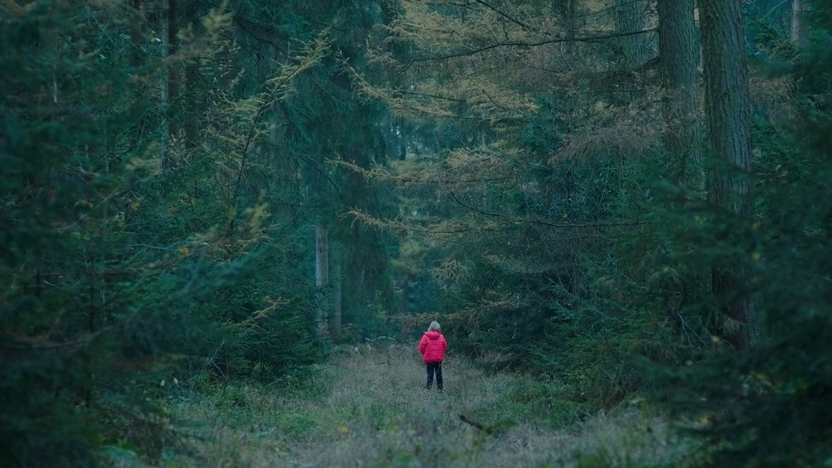 epa07352285 A handout photo made available by the Berlinale shows Helena Zengel in a scene from the movie 'System Crasher' (Systemsprenger) by Nora Fingscheidt. The film runs in the official ...