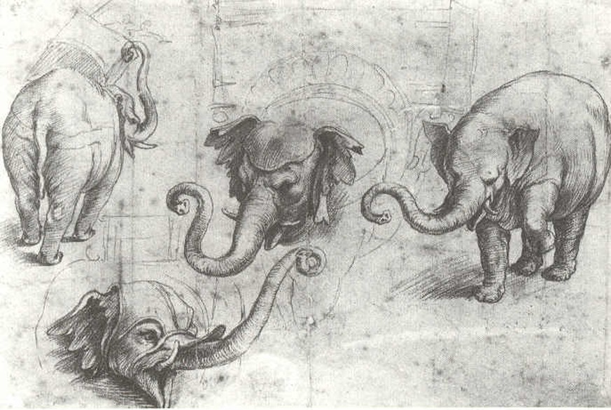 Wie der Elefant Hanno durch päpstliche Dummheit umkam 