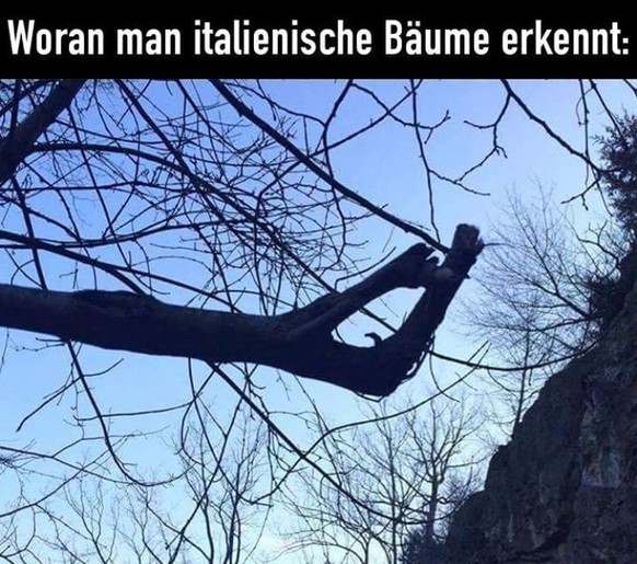 Hopp, wir haben nicht den ganzen Tag Zeit: PICDUMP. ЁЯЩГ
ЁЯЗоЁЯЗ╣