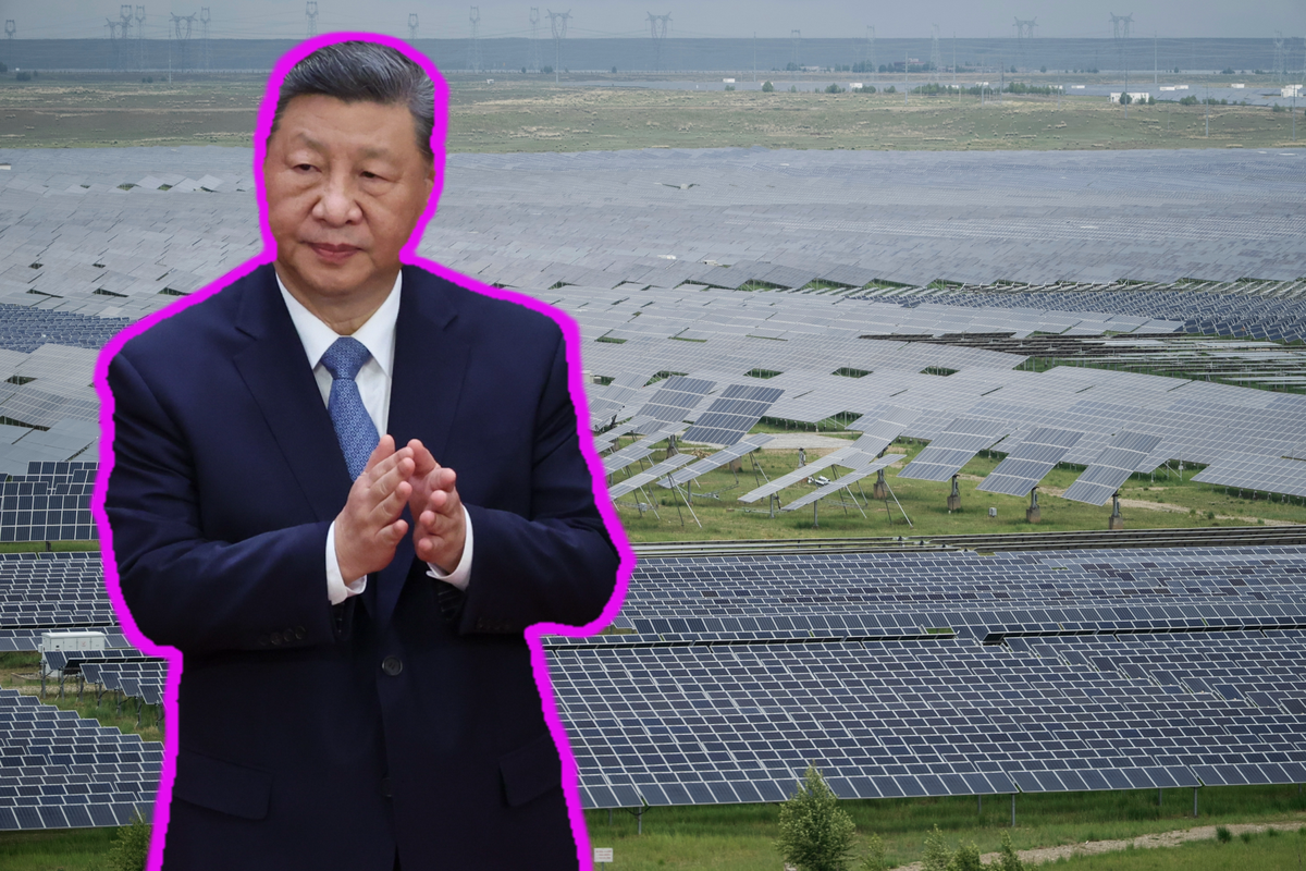 Le président chinois Xi Xinping peut se frotter les mains: son choix d'augmenter la production énergies renouvelables met la Chine à l'abri des fluctuations du pétrole.