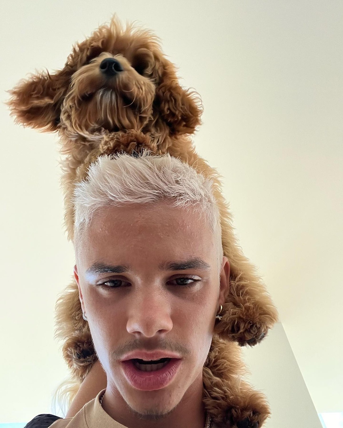 Simba et Romeo font des selfies.