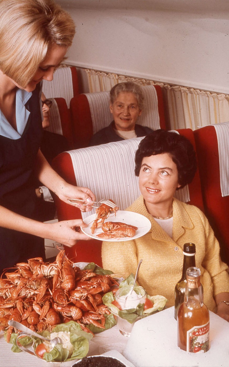 Lieber Flugzeug fliegen als Fleisch essen