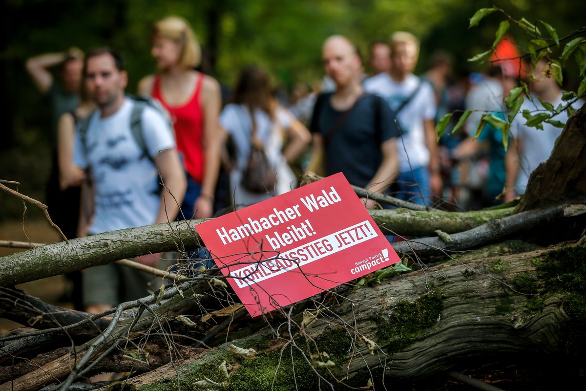 epa07074158 A placar reads 'Hambach Forest stays - Coal out now!', as activists gather in the forest Hambacher Forst to protest against its deforestation in Kerpen-Buir, Germany, 06 October  ...
