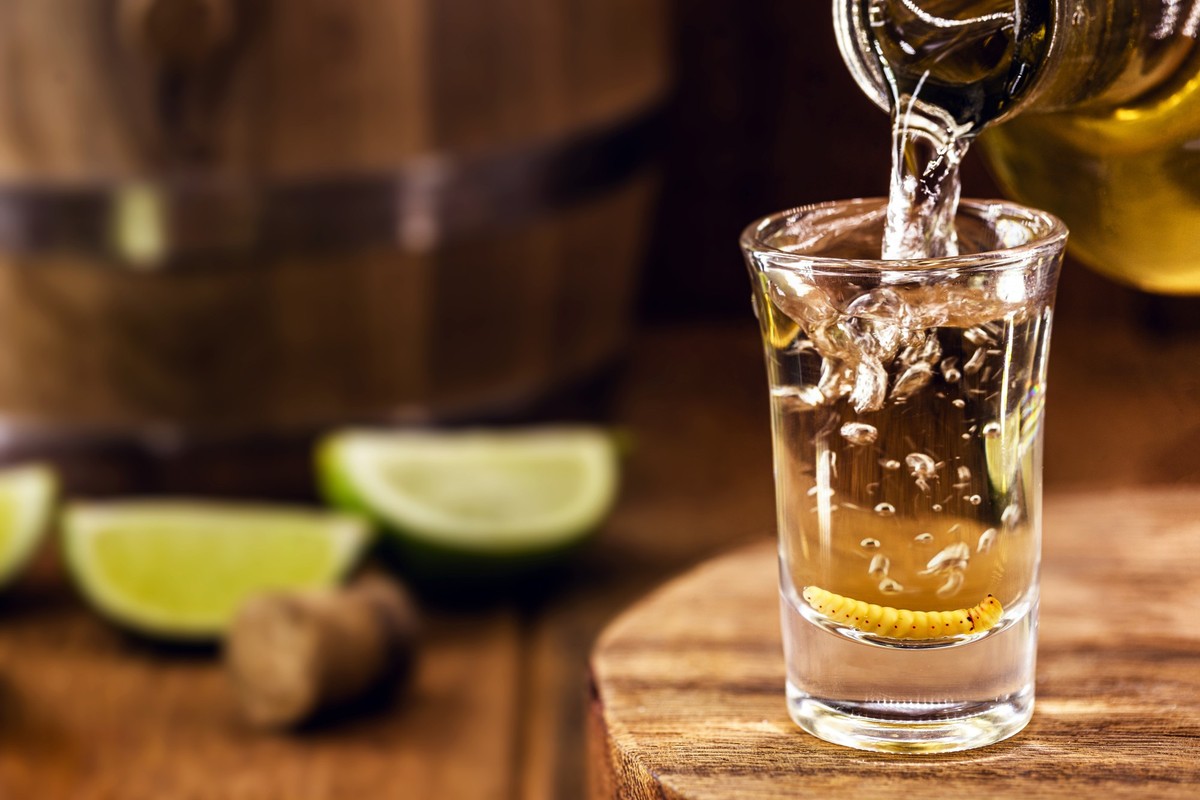 Mezcal mit Wurm