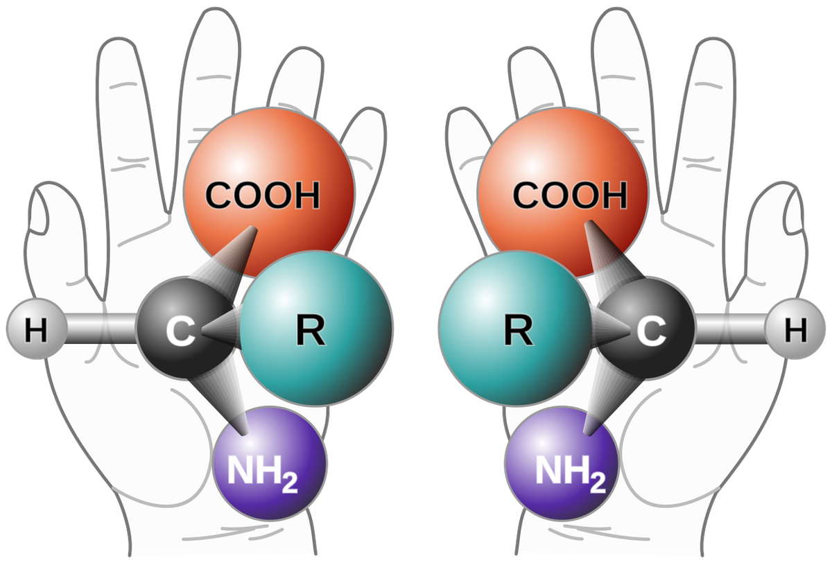 Die beiden Enantiomere eines chiralen Moleküls unterscheiden sich räumlich voneinander im Aufbau, ähnlich wie rechte und linke Hand.
https://de.wikipedia.org/wiki/Chiralit%C3%A4t_(Chemie)#/media/Datei ...