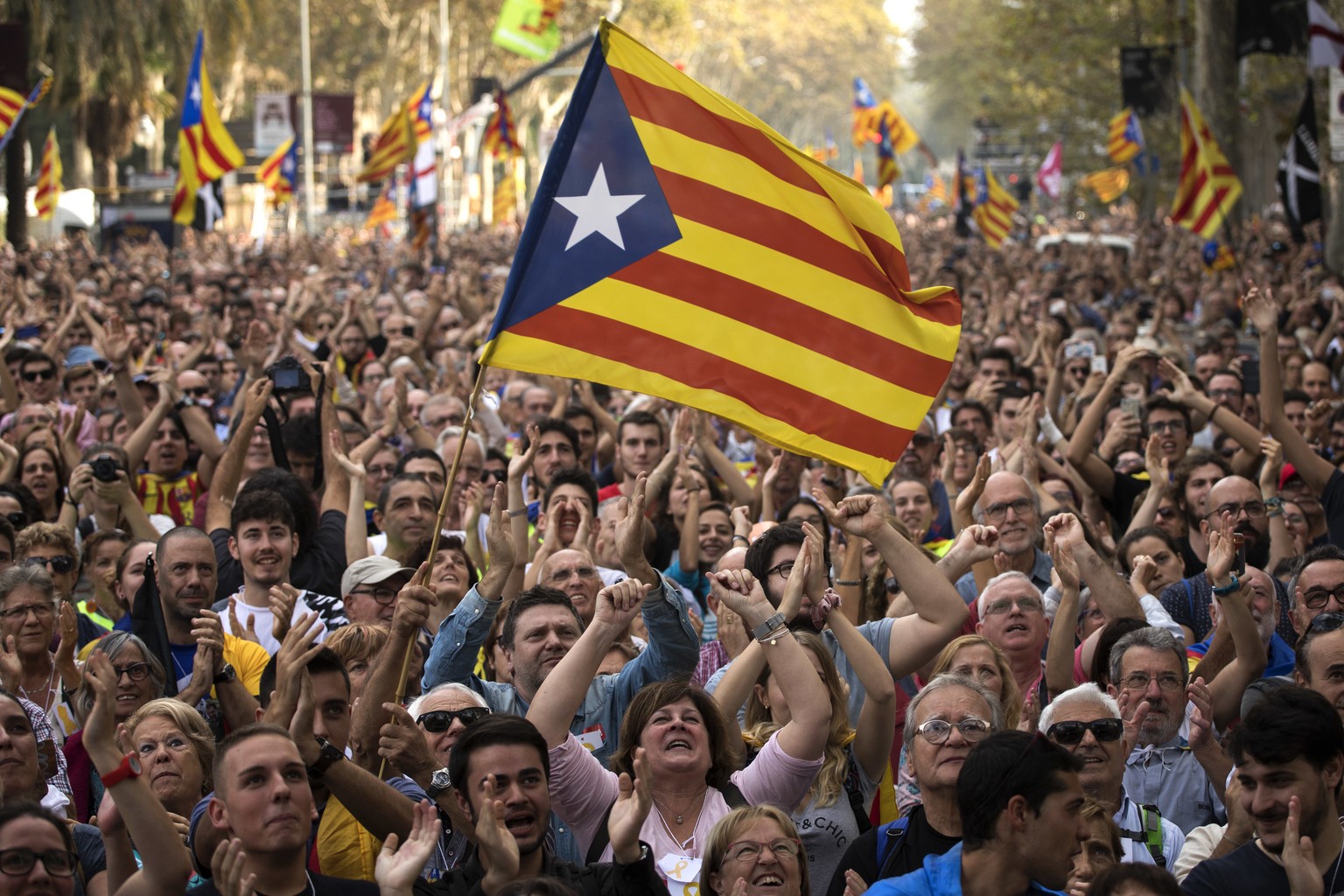 People react as they celebrate the unilateral declaration of independence of Catalonia outside the Catalan Parliament, in Barcelona, Spain, Friday, Oct. 27, 2017. Catalonias&#039; regional Parliament  ...