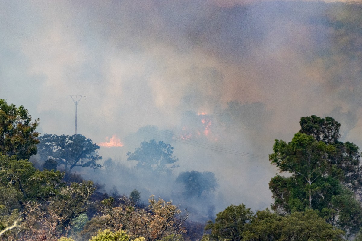 epa13126378 A fire burns that broke out late 21 July at El Cerro del Andevalo (Huelva), Spain, 22 July 2026. The fire affects an area of pastureland with a dense population of eucalyptus trees, holm o ...