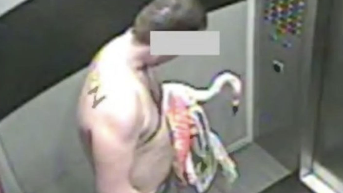 Der Flamingo und sein Dieb in einem Lift in einem Hotel in Las Vegas.
