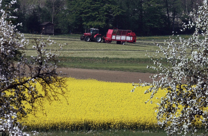 ZUR UMSETZUNG DER AGRARPOLITIK 2014-17 DES BUNDESAMTS FUER LANDWIRTSCHAFT STELLEN WIR IHNEN FOLGENDES THEMENBILD ZUR VERFUEGUNG - Ein Bauer holt mit Traktor und Ladewagen sein Heu ein, aufgenommen am  ...