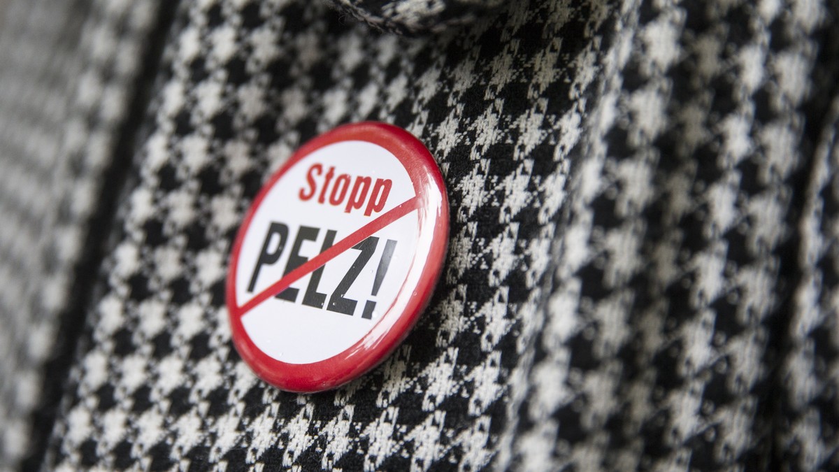 Ein Button mit der Aufschrift "Stopp Pelz" haengt an einem Mantel eines Komiteemitglieds bei der Uebergabe der Unterschriften fuer die Petition "Importverbot fuer tierquaelerisch herges ...