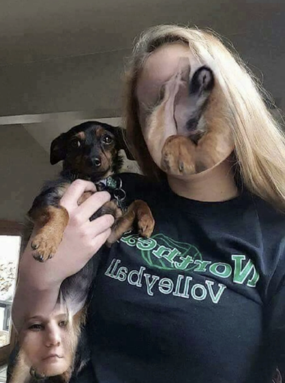 Die lustigsten Fails der Woche: FaceSwap mit Dackel