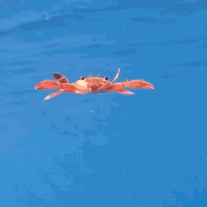Animiertes GIF