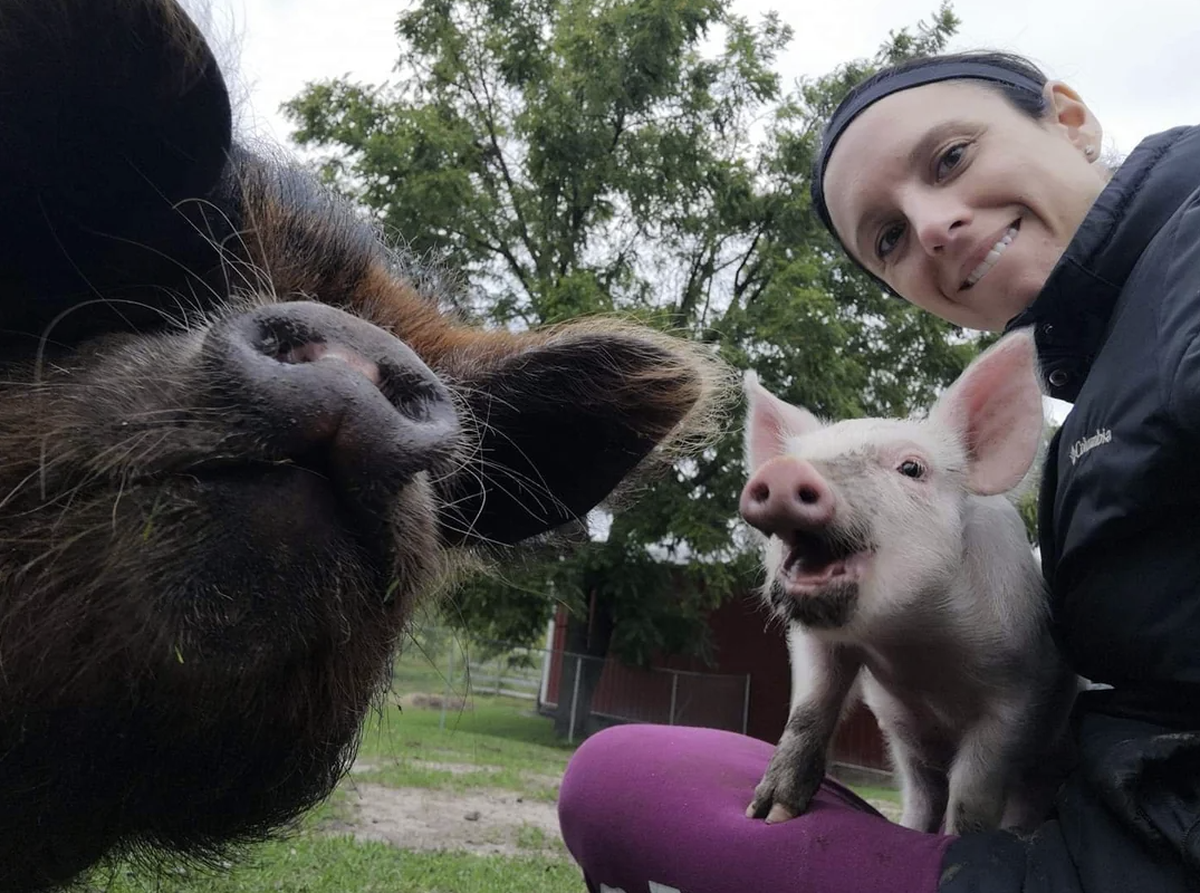 Lustige Tierbilder: Selife mit Huhn und Schweiz
