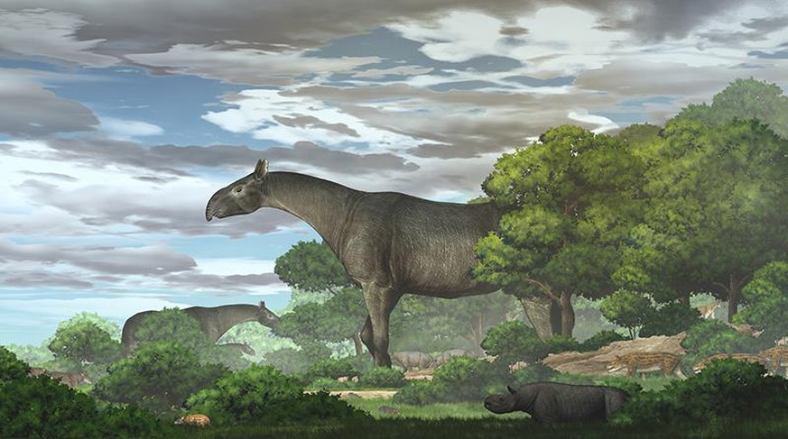 Darstellung eines Riesen-Nashorns der Art Paraceratherium linxiaense. 
https://english.cas.cn/newsroom/research_news/life/202106/t20210617_272231.shtml