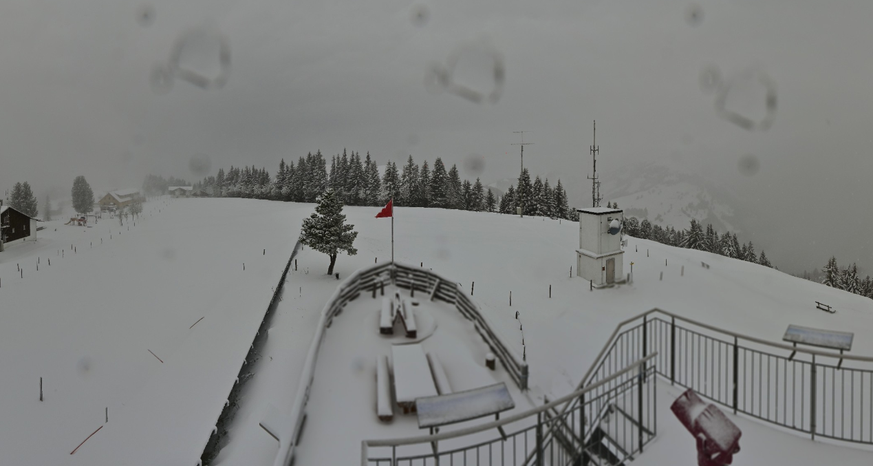 Rigi Scheidegg Schnee 12.5.26