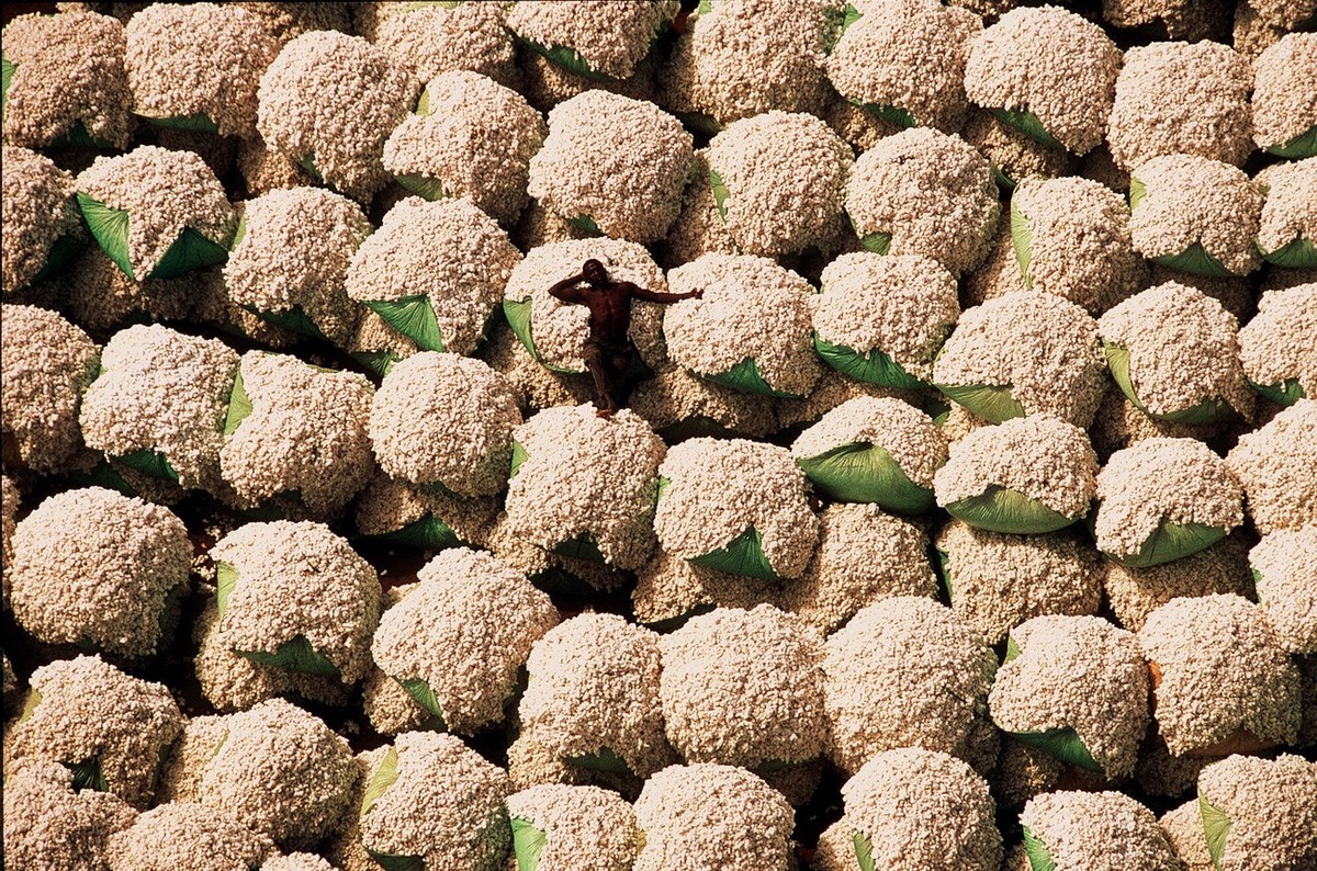 A worker in Thonakaha, Cote d'Ivoire, rests on bales of cotton in this undated aerial photo. The image is part of a new photo exhibit and coffee-table book titled 'Earth From Above', by ...