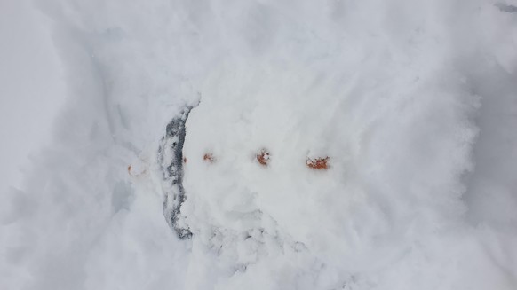tel:
..habe ihn begraben im schnee gefunden...
Ich glaube er wollte einen schneeengel machen