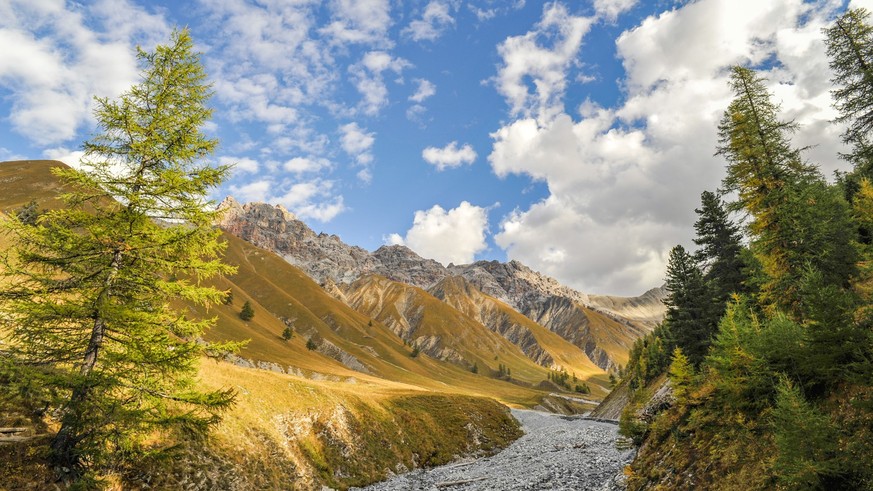 Val Trupchun Tierbeobachtungen Rauszeit