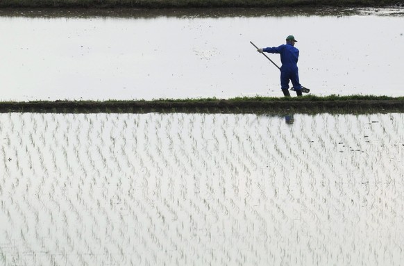 epa02734151 Japanese farmer tills his rice fields 40 kilometers from the Daiichi nuclear power plant, in Iwaki city, Fukushima prefecture, Japan, May 15, 2011. Radiation levels higher than Japan's...