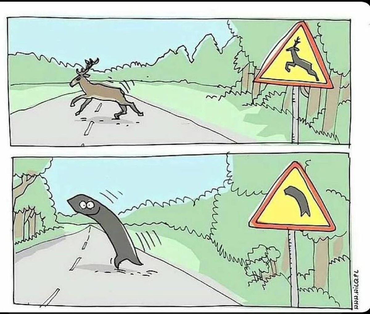 Picdump 189 – Memes, die dich zum Schmelzen bringen\nJa diese Kurven sind gefährlich, habe erst letztens eine erwischt