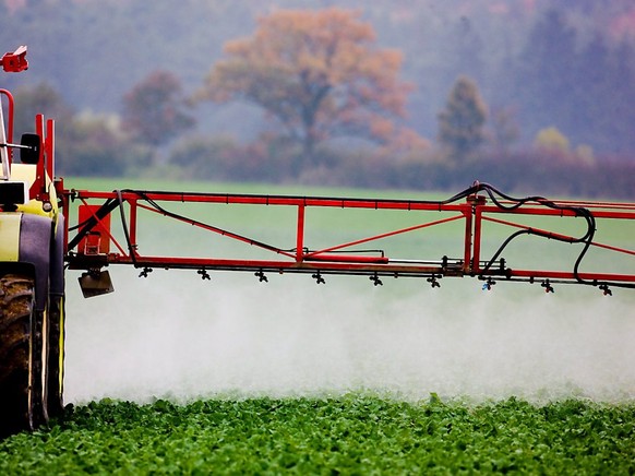 Die bisherigen Verbote greifen nicht: Der Einsatz von Pestizid setzt den Insekten zu.