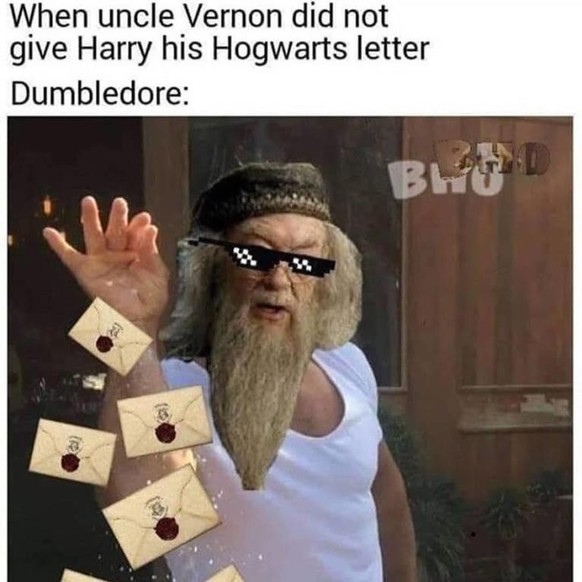 Harry Potter - The best memes about the film series