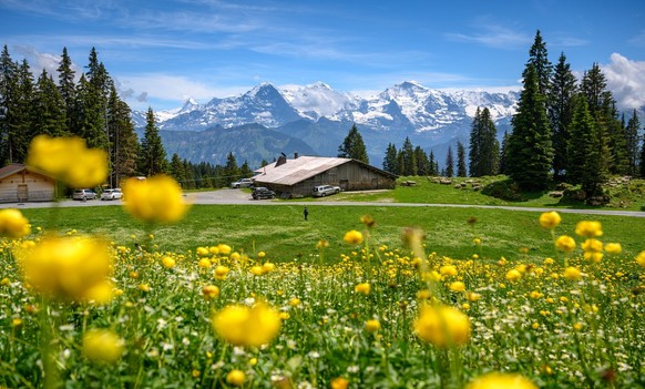 In den Alpen steht es um die Biodiversität etwas besser als im Flachland.