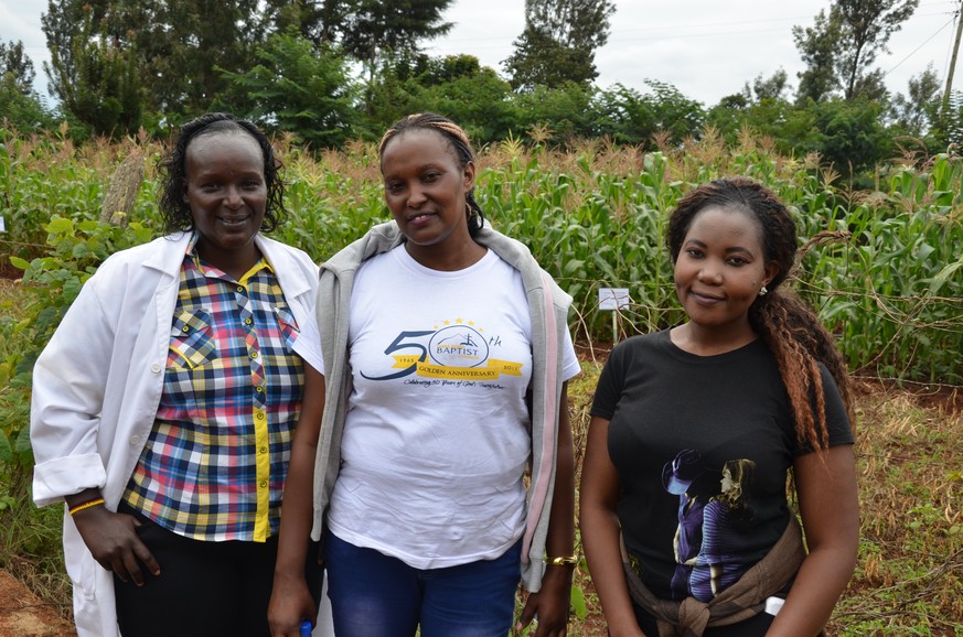 Drei Mitglieder der Forschungsgruppe vor ihren Versuchsfeldern in Chuka, Kenia.
