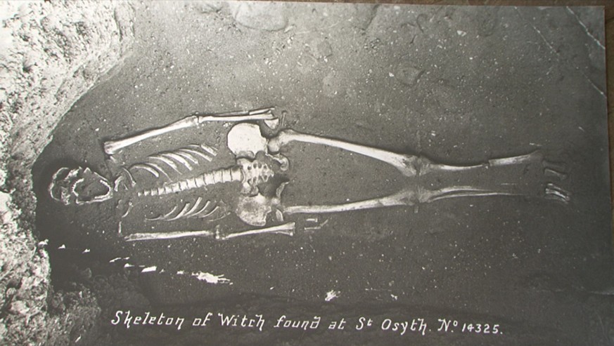 Das Skelett von Ursula Kemp: Mit Hilfe der Radiokarbondatierung konnte festgelegt werden, dass die Knochen eindeutig aus dem 16. Jahrhundert stammen.&nbsp;<br data-editable="remove">
