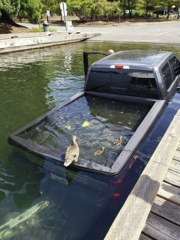 Die lustigsten Fails der Woche