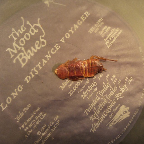 instagram/thingsifoundinrecords