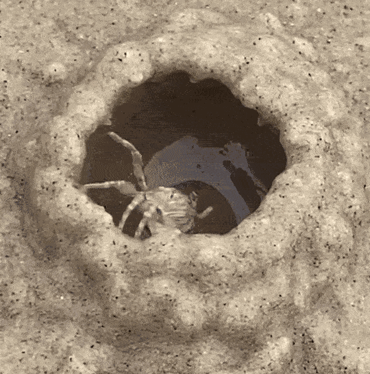 Animiertes GIF